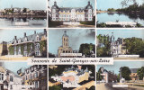 SAINT GEORGES SUR LOIRE SOUVENIR  Editeur Artaud  Avec Pli Etat - Saint Georges Sur Loire