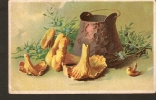 ART - Flora Mushrooms & Blueberries Drawing Painting Illustration -  1920s - Champignons