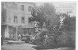 07 // VIVIERS, Place De La Roubine Ormeau Planté Sous Henri IV Et Renversé Par L'orage Octobre 1904 - Viviers