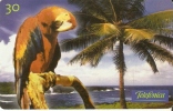 TARJETA DE BRASIL DE UN  GUACAMAYO (PARROT) - Papegaaien & Parkieten