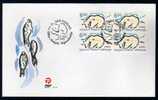 Oso Polar - 07/05/1999 - Groenlandia - Cover - Sobre Fdc - Bears