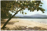 Carte Postale, Puerto Rico, Porto Rico, Luquillo Beach - Puerto Rico