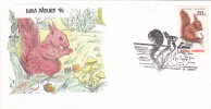 Squirrel,écureuil,1994,special Cover ,obliteration Concordante  Romania. - Rongeurs