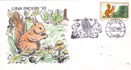 Squirrel,écureuil,1993,special  Covers ,obliteration Concordante Gilau Romania. - Nager