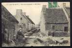 CPA  ANCIENNE- FRANCE- ILE-DE-BATZ (29)- UNE RUE ORIGINALE- VIEILLES MAISONS GROS PLAN- TOITS DE CHAUME- ANIMATION - Ile-de-Batz