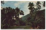 - TAHITI. - Road To Tautira - La Route Vers Tautira - Photographed By Sounam - Scan Verso - - Tahiti
