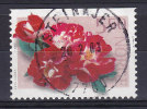 Norway 2001 Mi. 1392 Do    5.50 Kr Flower Blume Rose Deluxe STEINKJER Cancel !! - Oblitérés