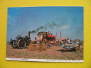 STEAM RALLY,STOURPAINE,OLD TRACTOR- ENGLAND - Tracteurs