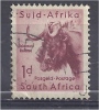 SOUTH AFRICA 1954 Wild Animals - 1d Wilderbeest FU - Used Stamps