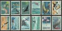 1973 - Australian Antarctic Territory FOOD CHAIN & EXPLORERS Set 12 Stamps MNH - Ongebruikt