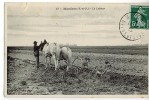 MANDRES Le Labour Chevaux Charrue - Mandres Les Roses