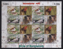 Bangladesh 2010 NEW 4v Birds Block 16v SUPERB Sheetlet Limited Print Flora Fauna Nature Bird - Collections, Lots & Series