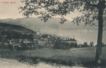 SUISSE - SPIEZ -  Panorama - Spiez