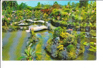 Kongs Floraleigh Gardens Hilo Hawaii - Hilo