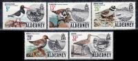 Alderney Sc13-7 Sea Bird, Telegraph Bay - Albatros