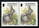 Alderney Sc80a Rabbit Pair - Lapins