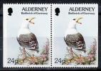 Alderney Sc81a Bird, Gull Pair - Mouettes