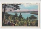 BIG MOOSE LAKE FROM BILLY'S BALD SPOT MT. N.Y. ADIRONDACK MTS. NEW YORK . Old PC . USA - Adirondack