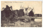 D8144 -Vallée De La Lesse - Le Château De Ciergnon - Houyet