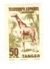 TANGER                    D - Giraffes