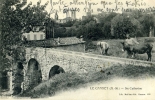 LE CANNET - (06110) - CPA - N°808 - Le Cannet (A.-M.), Ste Catherine - Sainte-Catherine - Enfant Et Ane - Le Cannet