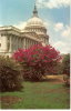 Carte Postale, Washington Dc, Us Capitol - Washington DC