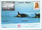 Romania-Postal Stationery Postcard 1998- Jan Van Mirlo,belgian Sailor,Belgica Expedition Participant - Exploradores