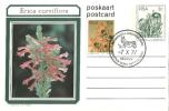 Südafrika / South Africa - Ganzsache Postkarte Gestempelt / Postcard Used (g041) - Cartas & Documentos