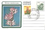 Südafrika / South Africa - Ganzsache Postkarte Gestempelt / Postcard Used (g042) - Covers & Documents
