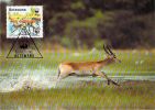 BOSTAWANA     WWF CARTE MAXIMUM NUM.YVERT 582  PROTECTION DE LA NATURE  ANTILOPE ROUGE - Maximumkaarten