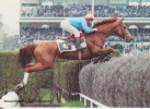 Auteuil,Paris,le Fameux Steeple Chaser Katko,Rail Ditch And Fence,sports,hippisme,cou Rses De Chevaux - Reitsport