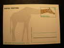 Poland 100 Anv Zoo  Zoopark Poznan Jirafa Jiraffe Entier Postal Stationery Card - Giraffes
