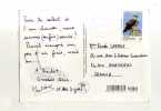 - ESPAGNE . AFFRANCHISSEMENT SIMPLE SUR CP DE 1999 POUR LA FRANCE - Cartas & Documentos