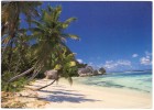 SEYCHELLES-ANSE SOURCE D'ARGENT, LA DIGUE / THEMATIC STAMP-PLANT /OUTER ISLANDS - Seychellen