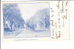 Hillhouse Avenue New Haven Connecticut 1906 - New Haven