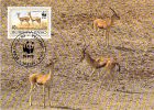 BURKINA FASSO      WWF CARTE MAXIMUM NUM.YVERT 883  PROTECTION DE LA NATURE GAZELLE A FRONT ROUX - Cartoline Maximum