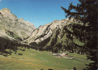 Schweiz, VD Waadt, Solalex Pres Villars Sur Ollon,Masif Des Diablerets-Tour D'Anzeindaz, Gelaufen Ja - Ollon