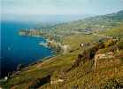 Suisse -carte Postale Grand Format - Ref 136-vignobles De Lavaux -lac Leman -cully, Grandvaux , Epesses , Riex - - Épesses