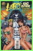 BD - DC COMICS - LOBO´S BIG BABE SPRING BREAK SPECIAL, 1995  - MINT CONDITION - DC