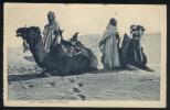 1174  -  Repos Dans Les Dunes - Sahara Occidental