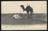 6158  -  SCENES ET TYPES  --  La Priére Du Désert - Sahara Occidentale