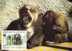 CAMEROUN    WWF CARTE MAXIMUM NUM.YVERT  823  PROTECTION DE LA NATURE SINGE BABOUIN - Maximum Cards