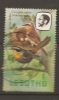 Lesotho, Pájaros Birds - Lesotho (1966-...)