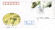 China 1995 Koala, Panda, Joint Issue  Of China And Australia, Letter To Hungary - Lettres & Documents