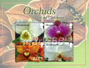 Montserrat - 2008 - Orchids Of The Caribbean - Mint Miniature Sheet - Montserrat