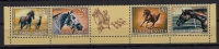 Yugoslavia 1998 Horses  Horse MNH - Unused Stamps