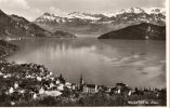 18812   Svizzera,     Weggis Und Die Alpen,  NV - Weggis
