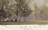 CPA - Old Card - Elm Park Winnipeg Manitoba - Written - Slighty Damaged Corner - 2 Scans - Winnipeg