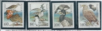 Endangered Marine Birds, Germany - Albatrosse & Sturmvögel