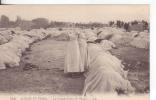 72-Costumi-Costumes-Relig Ioni-La  Grande Preghiera-V:1907-affranca Ta  5c.x Tunis-Tunisia. - Islam